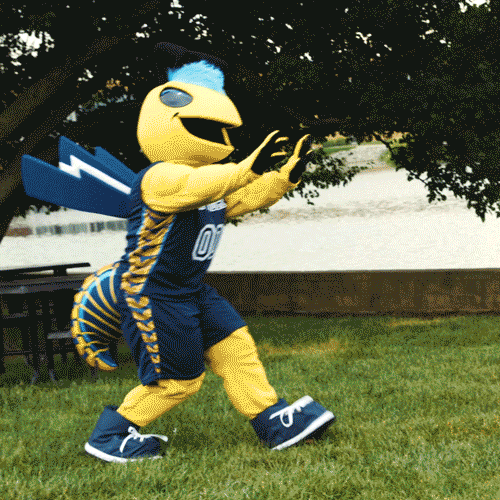 Yellow Jacket Photographer GIF by Cedarville University Find & Share