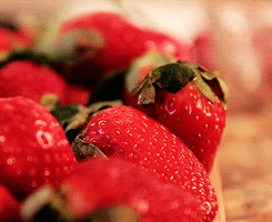 Strawberry CBD Lollipop!