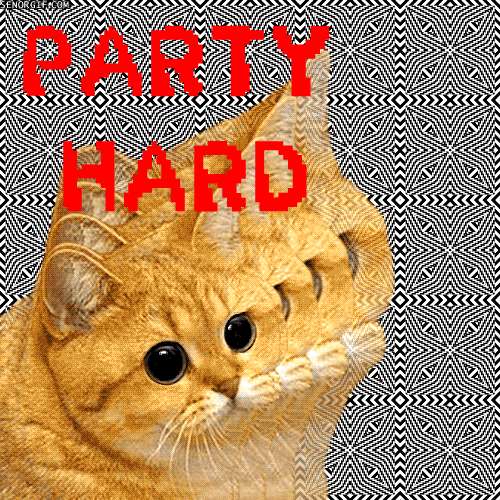 Party Fails GIF by Cheezburger Find & Share on GIPHY