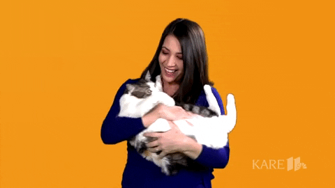 Cat Lady Kare 11 Sunrise GIF - Find & Share on GIPHY