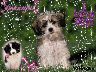 Beutiful beutiful gifs - find & share on giphy Beutiful beutiful gifs - find & share on giphy