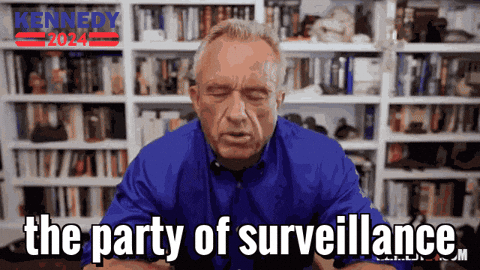 Big Brother watching surveillance