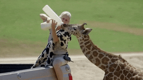 giphy-downsized-large.gif