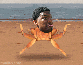 Image result for jameis winston crabs animated gif