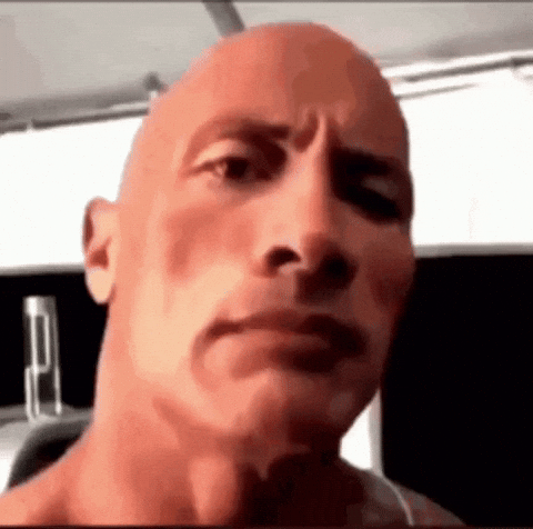 The Rock Rasing Eyebrow