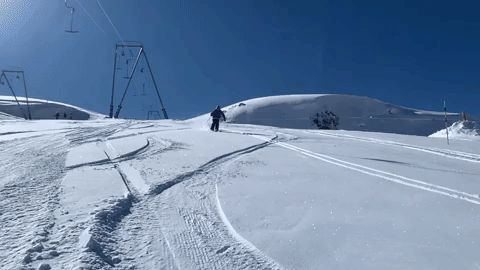 giphy-downsized-large.gif