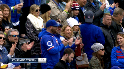 people applauding in a baseball game auditoruim