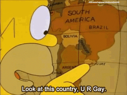 Gay Politics GIF