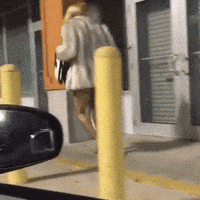 200w.gif