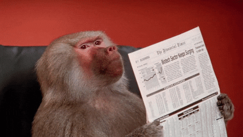 newspaper office monkey