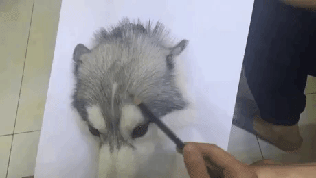 Realistic 3D Painting in animals gifs