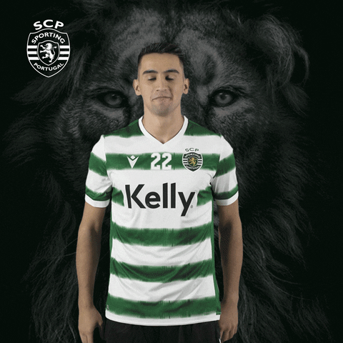 Andebol GIF by Sporting CP
