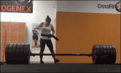 giphy.gif