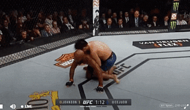 giphy.gif