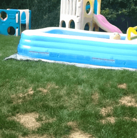 beach buggy race game fountain jumping animated gif beach buggy race game fountain jumping animated gif