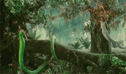 https://media.giphy.com/media/AYYyhSptmm4zC/giphy.gif