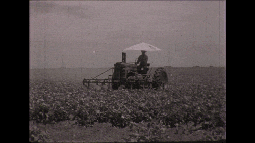 A farmer tilling his field