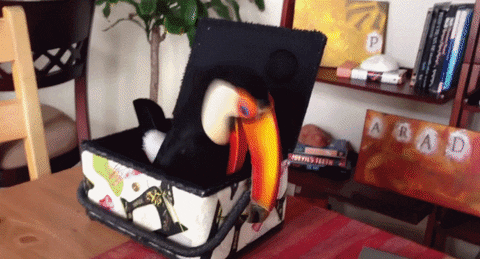 Box Toucan GIF