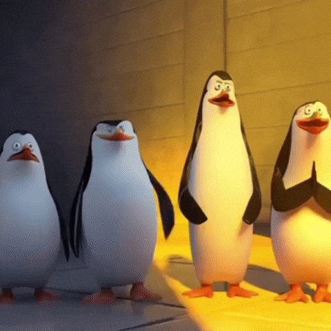 GIF shared by leo