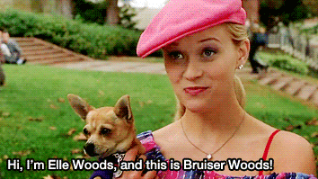 Reese Witherspoon Bruiser Woods GIF