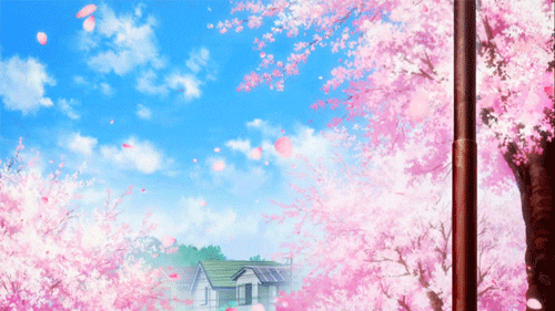 Cherry Blossom Pink GIF - Find & Share on GIPHY