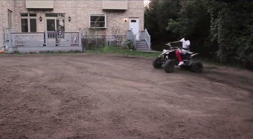 giphy.gif