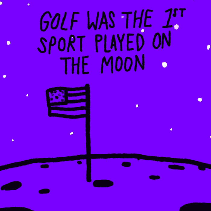 American Flag Omg GIF by Learn Something Every Day Find & Share on GIPHY