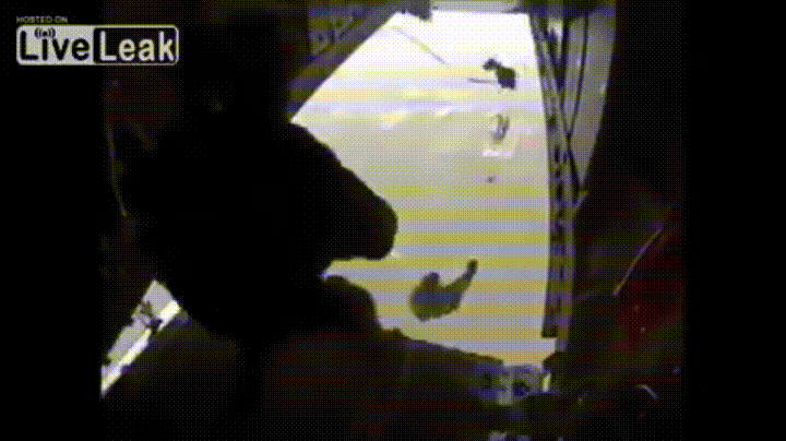 giphy-downsized-large.gif