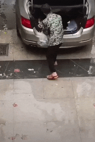 Bad day in funny gifs