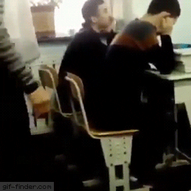 giphy.gif