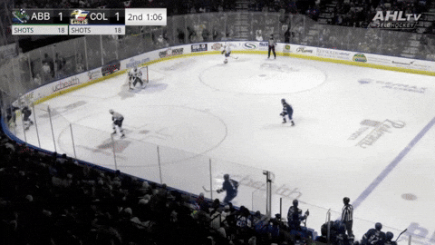 giphy.gif