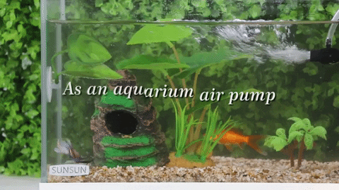 aquarium-filter