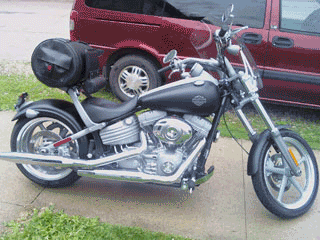 Harley GIFs - Find & Share on GIPHY