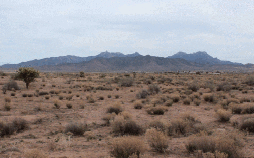 Desert Please GIF - Find & Share on GIPHY