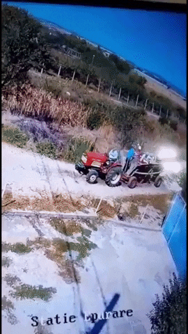 giphy.gif