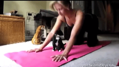 gif via gihpy demonstrating childs pose the best yoga pose for lower back pain relief