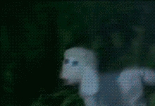 giphy.gif