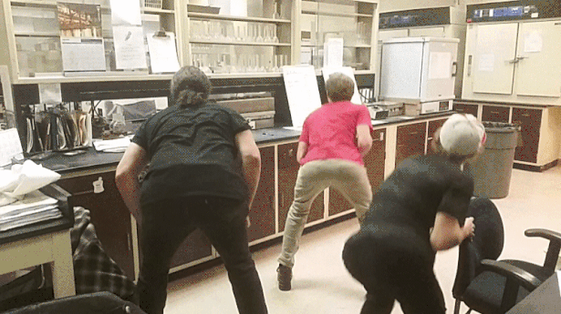 Hard At Twerk At Work Find And Share On Giphy