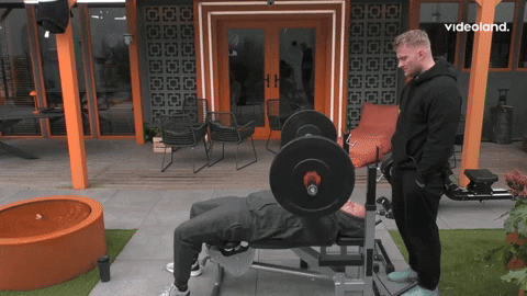 giphy.gif