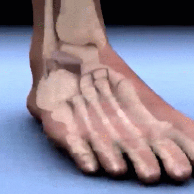 Anti Fatigue Compression Foot Sleeve Unisex