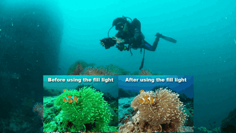compare the underwater photo color with hotdive smart housing using fill light or not