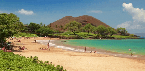 Hawaii ofrece estadía gratis a cambio de trabajo voluntario