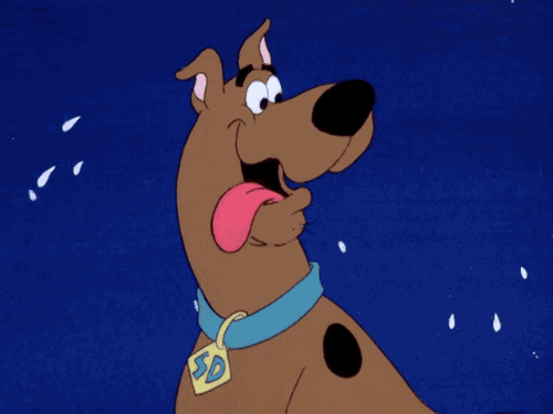 130 Cartoon Character Names For Dogs | Cuteness