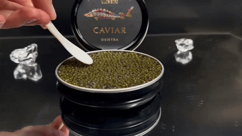 Sturgeon Caviar Osietra