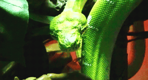 phil davis anaconda choke gif phil davis anaconda choke gif