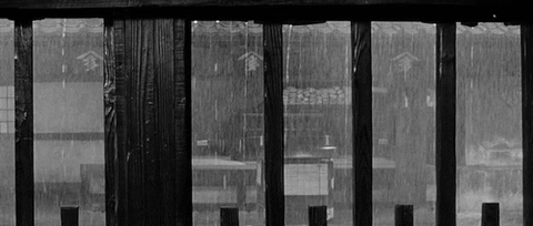 rain yojimbo film cinema