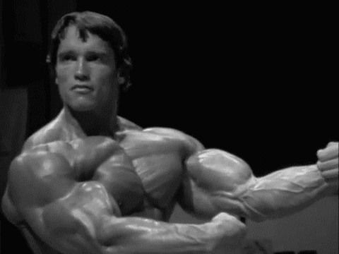 Flexing Arnold Schwarzenegger GIF - Find & Share on GIPHY
