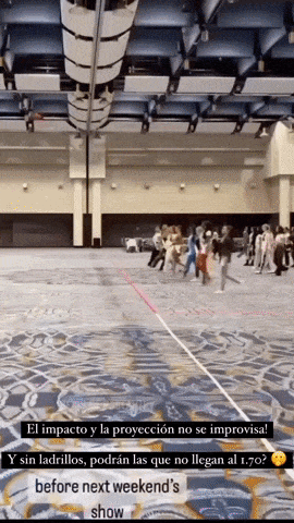 giphy-downsized-large.gif
