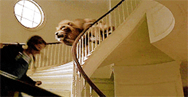 200.gif