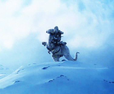 luke skywalker inside tauntaun